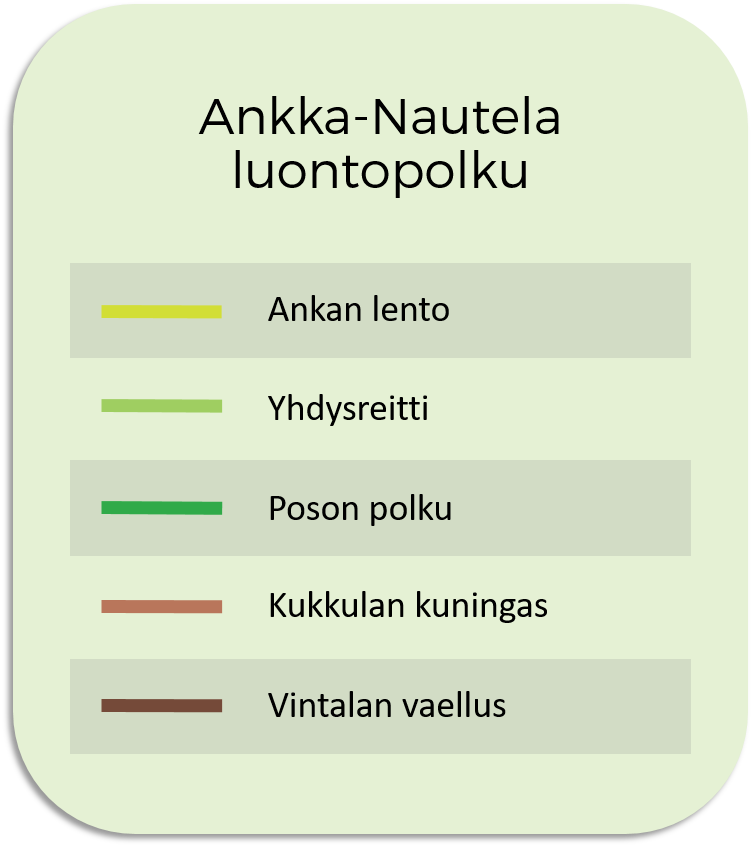 Kuva kertoo millä väreillä Ankka-Nautela luontopolun eri osat näkyvät kartalla. 
