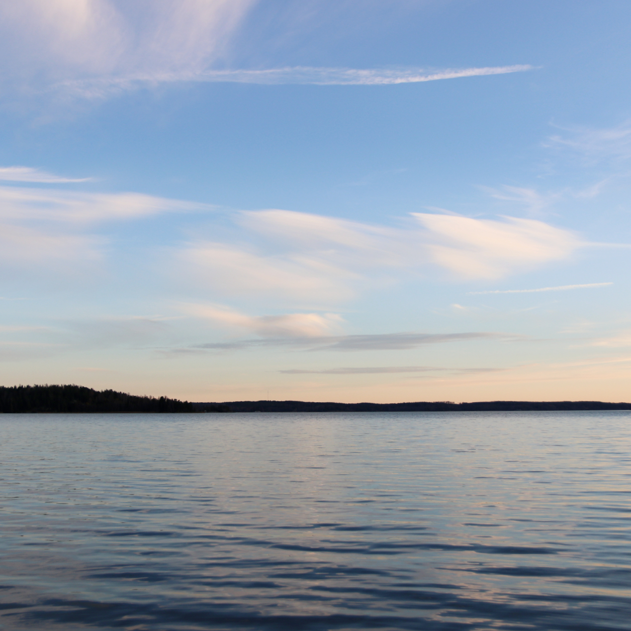 Merimaisema Harvaluodon uimarannalta. Kuva: Iiris Kallajoki/Tammireitit